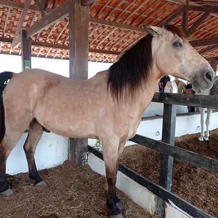 Flat No Condomino Monte Castelo Em Gravata-Pe Безерос Екстериор снимка